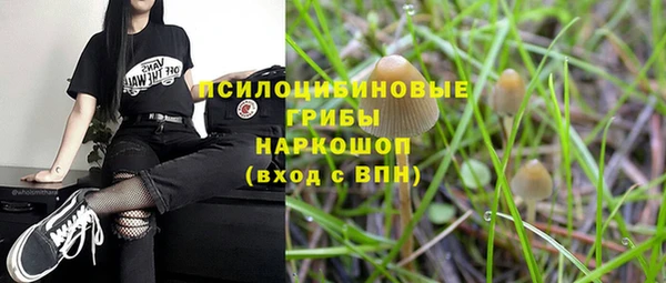 мескалин Арсеньев